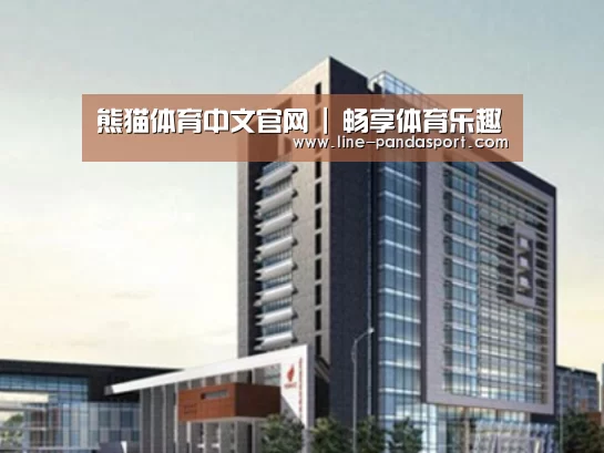 熊猫体育平台案例展示四