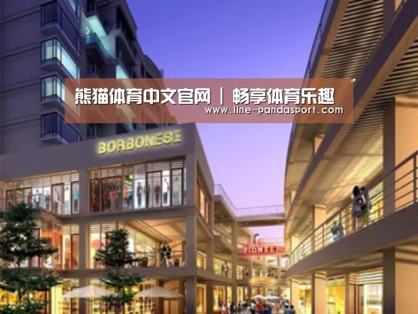 熊猫体育平台案例展示一
