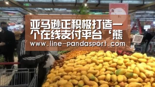 亚马逊正积极打造一个在线支付平台‘熊猫体育平台’(图1) 熊猫体育平台