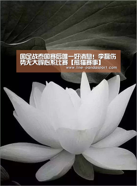 熊猫体育平台