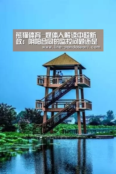 熊猫体育平台