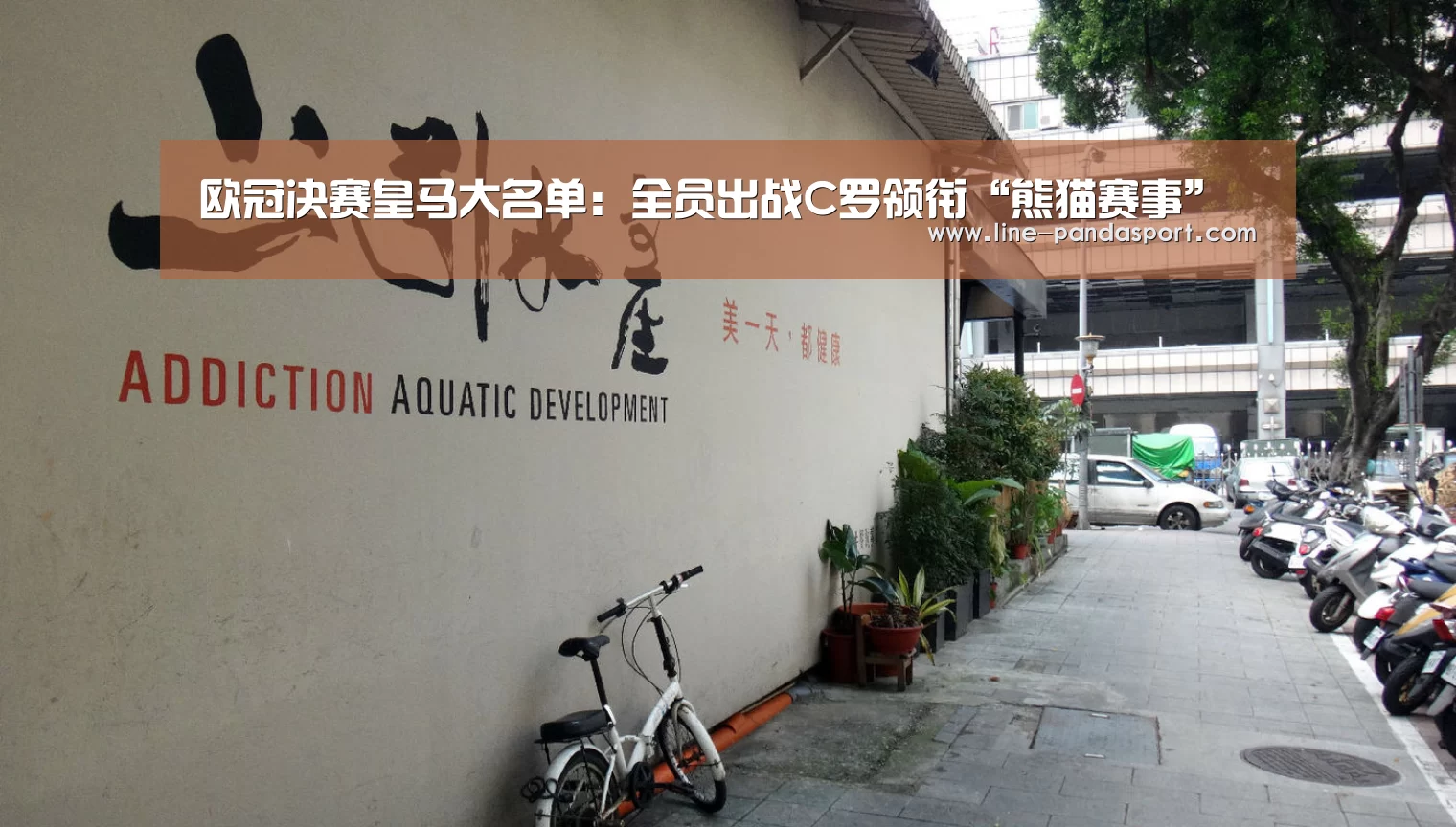 熊猫赛事