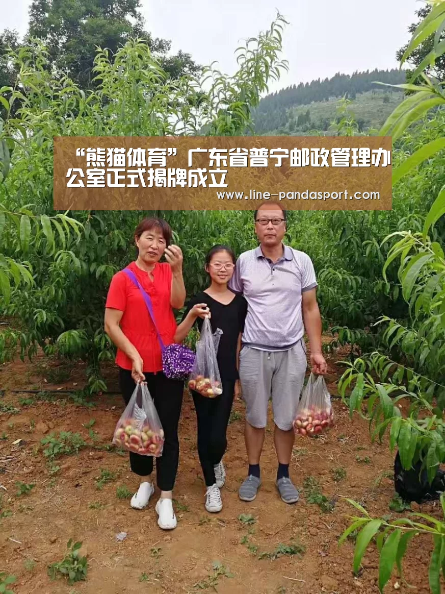 熊猫体育平台