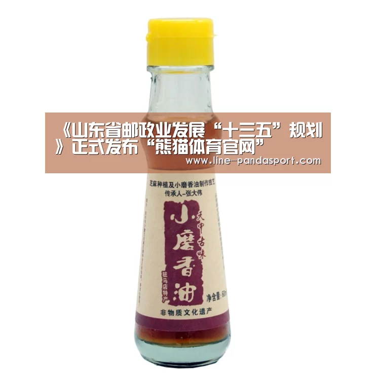 《山东省邮政业发展“十三五”规划》正式发布“熊猫体育官网”(图3) 熊猫体育平台